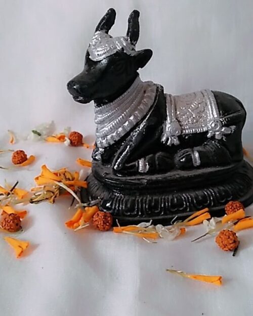 Shri Maharudra Nandi