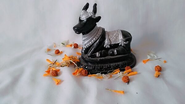 Shri Maharudra Nandi