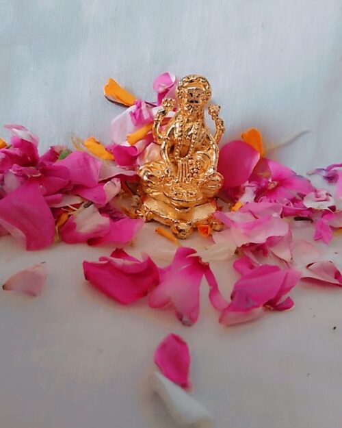 Vaibhav Dhan Laxmi