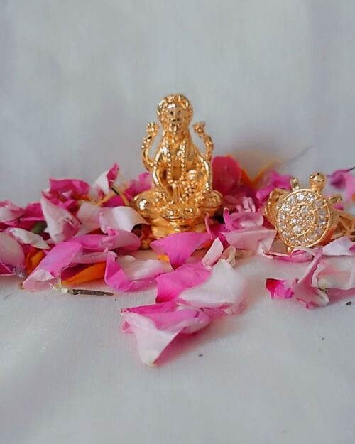 Vaibhav Meru Dhan Laxmi Combo