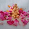 Vaibhav Dhan Laxmi