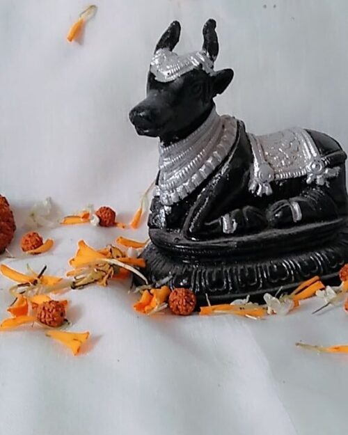 Shri Maharudra Nandi