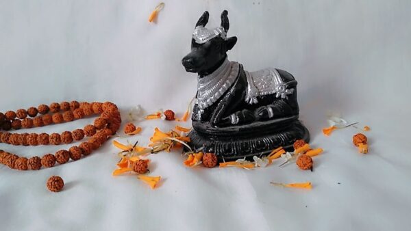 Shri Maharudra Nandi