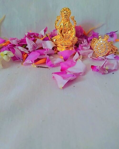 Vaibhav Meru Dhan Laxmi Combo