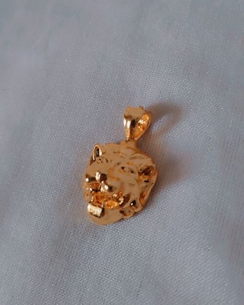 Dhairya Rakshak Pendant