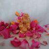 Vaibhav Dhan Laxmi