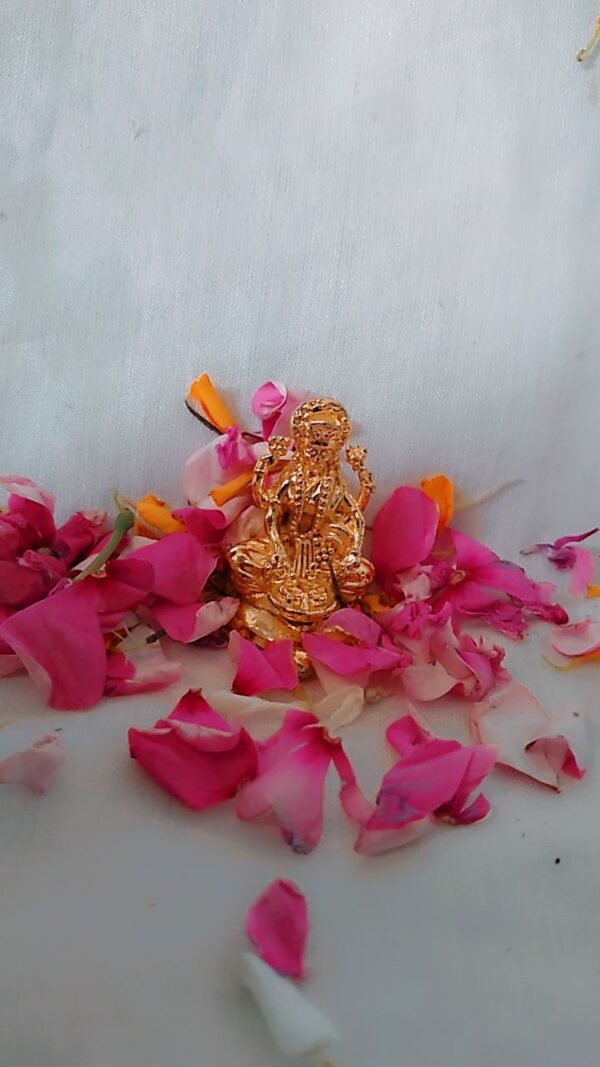 Vaibhav Dhan Laxmi